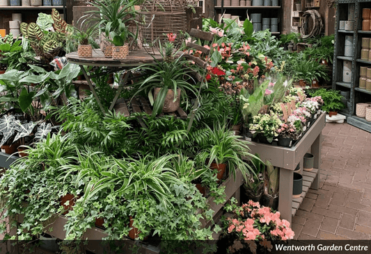 Transitioning Your Range From Spring To Summer - The Horti House