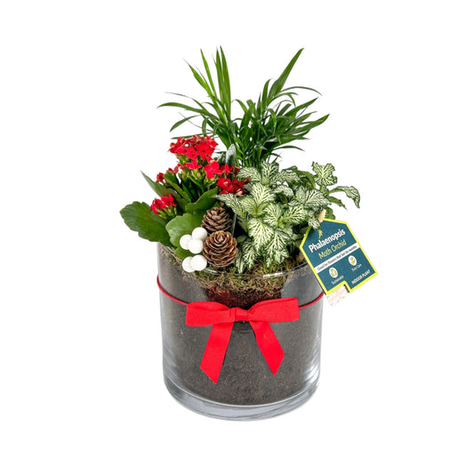 Glass Trio Planter 14cm - Green Plant The Horti House