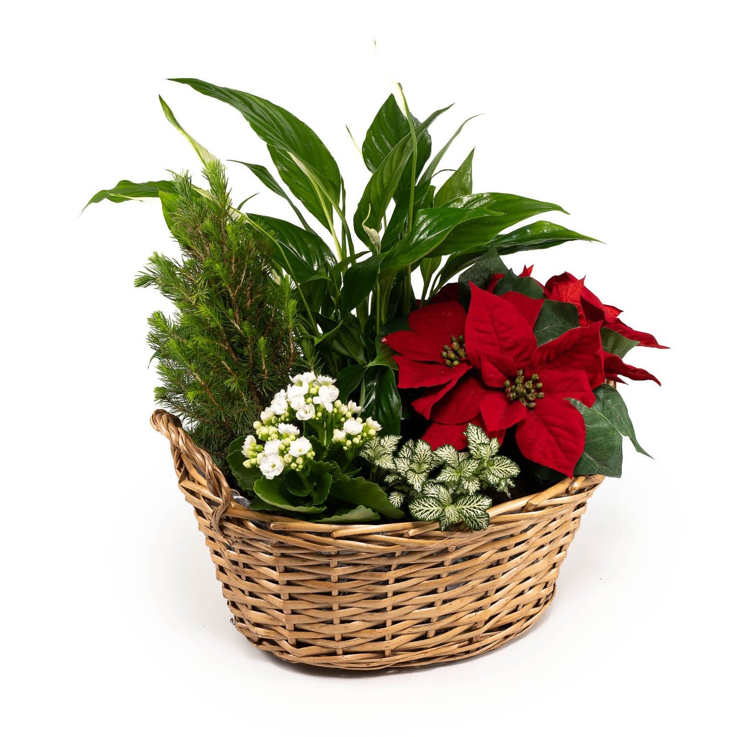 Festive Gift Basket - Flowering The Horti House