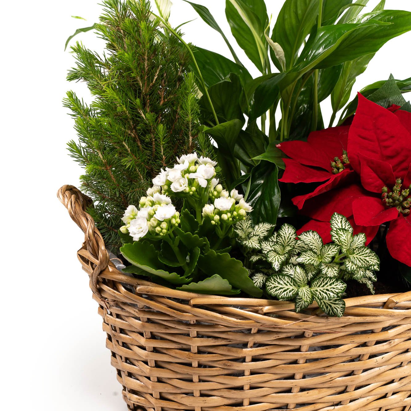 Festive Gift Basket - Flowering The Horti House