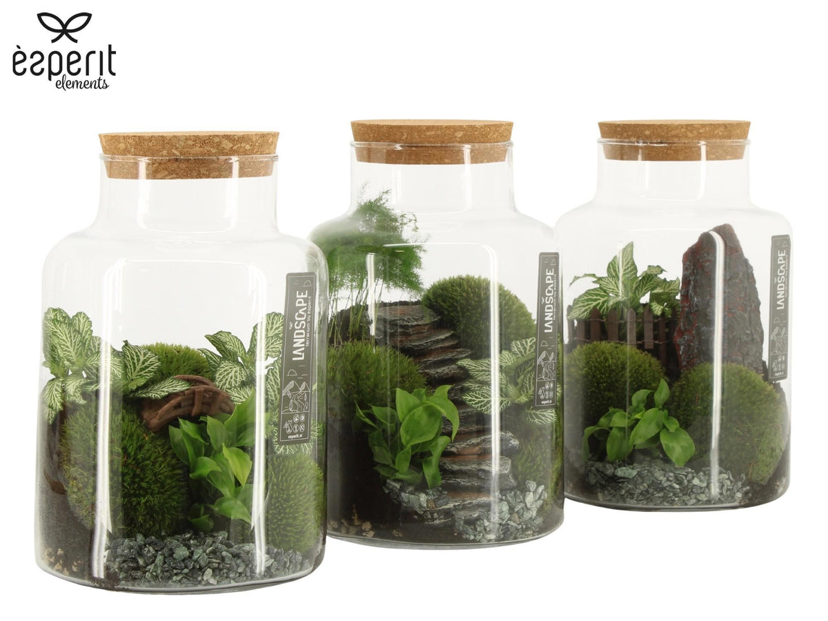 Terrarium 17cm Landscape - Green Plant The Horti House