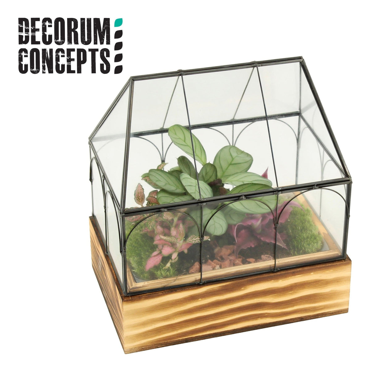 Terrarium Glass House - Mix The Horti House