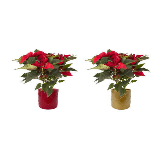 Poinsettia 13cm in Festive Ceramic
