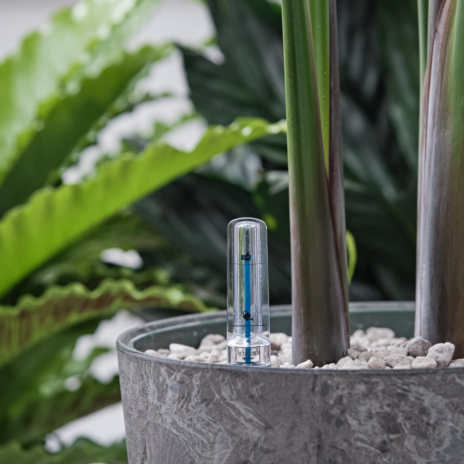Hydroculture