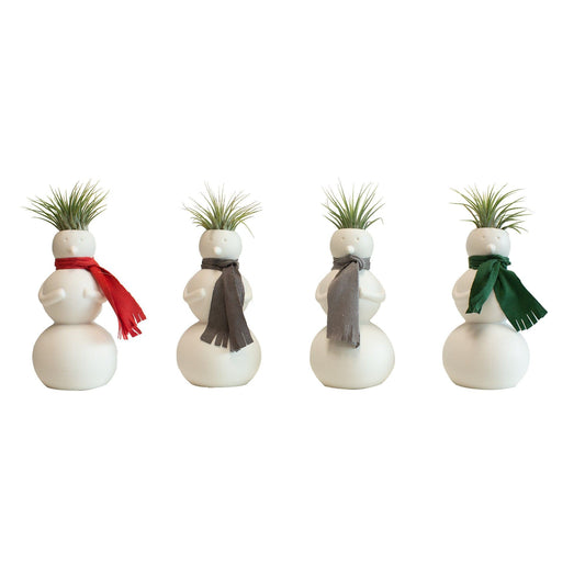 Tillandsia 4cm Magic Snowman - Airplants The Horti House