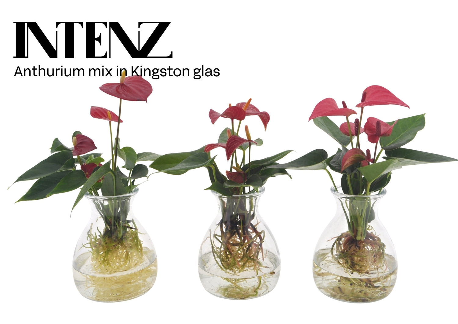 Blue Diamond Glass Arrangements
