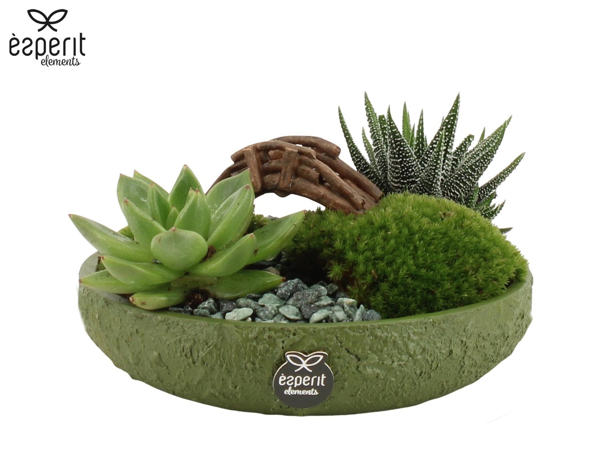 Arrangement 17cm Landscape Ceramic - Added Value The Horti House