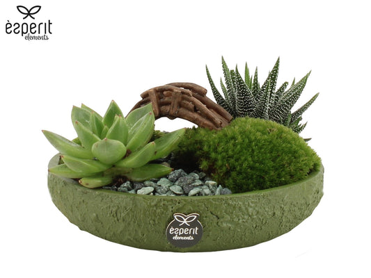 Arrangement 17cm Landscape Ceramic - Added Value The Horti House