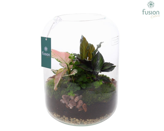 Arrangement 23cm Glass - Added Value The Horti House