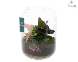 Arrangement 23cm Glass - Added Value The Horti House