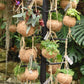 Kokodama Black Tree Large exclusief Kokodama's