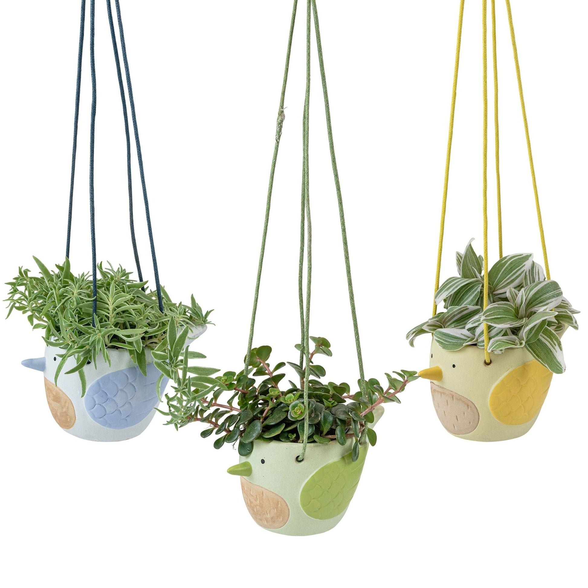Birds 6cm Foliage Hanging - Hanging The Horti House
