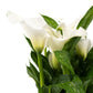 Calla Lily 13cm in Windsor Ceramic - Flowering The Horti House