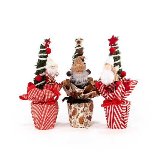 Chamaecyparis 11cm Christmas Friends - Foliage The Horti House