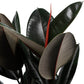 Ficus 23cm Elastica Mix - Green Plant The Horti House