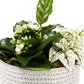 Greenery Trio 13cm Planter - Green Plant The Horti House