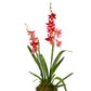 Cambria 12cm in Tall Artisan Ceramic - Flowering The Horti House