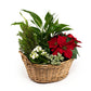 Festive Gift Basket - Flowering The Horti House