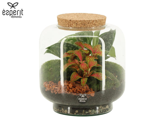 Terrarium 17cm arrangement 90614 - Added Value The Horti House