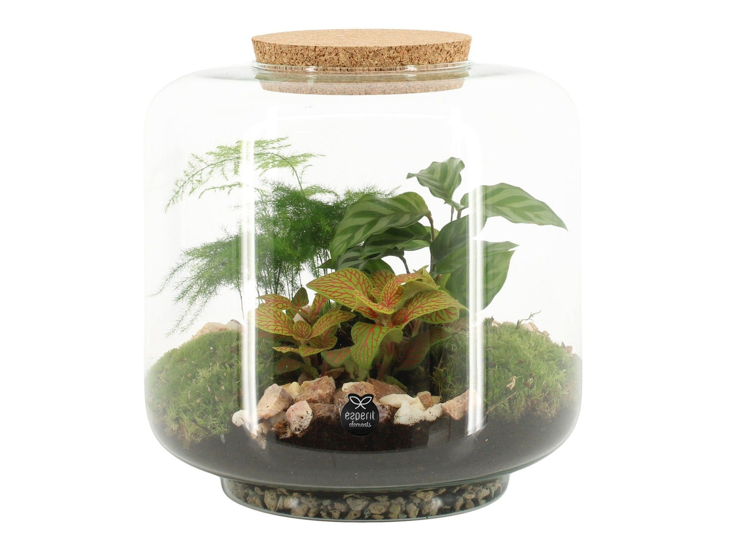 Terrarium 17cm arrangement 90615 - Green Plant The Horti House