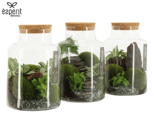 Terrarium 17cm Landscape - Green Plant The Horti House