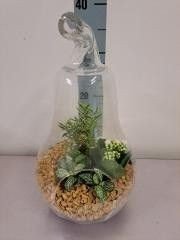 Arrangement 18cm Glass Pear - Green Plant The Horti House