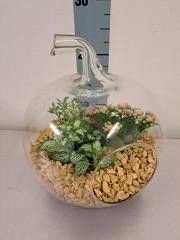 Arrangement 20cm Glass Apple - Green Plant The Horti House