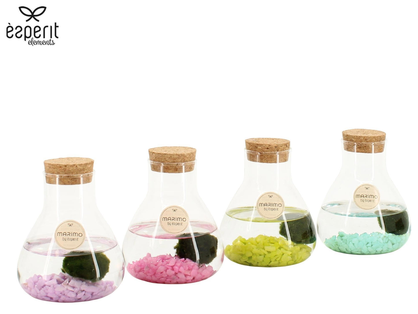Marimo 10cm arrangement 90945 - Planted Arrangements The Horti House