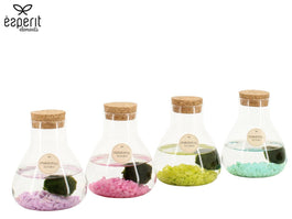 Marimo 10cm arrangement 90945 - Planted Arrangements The Horti House