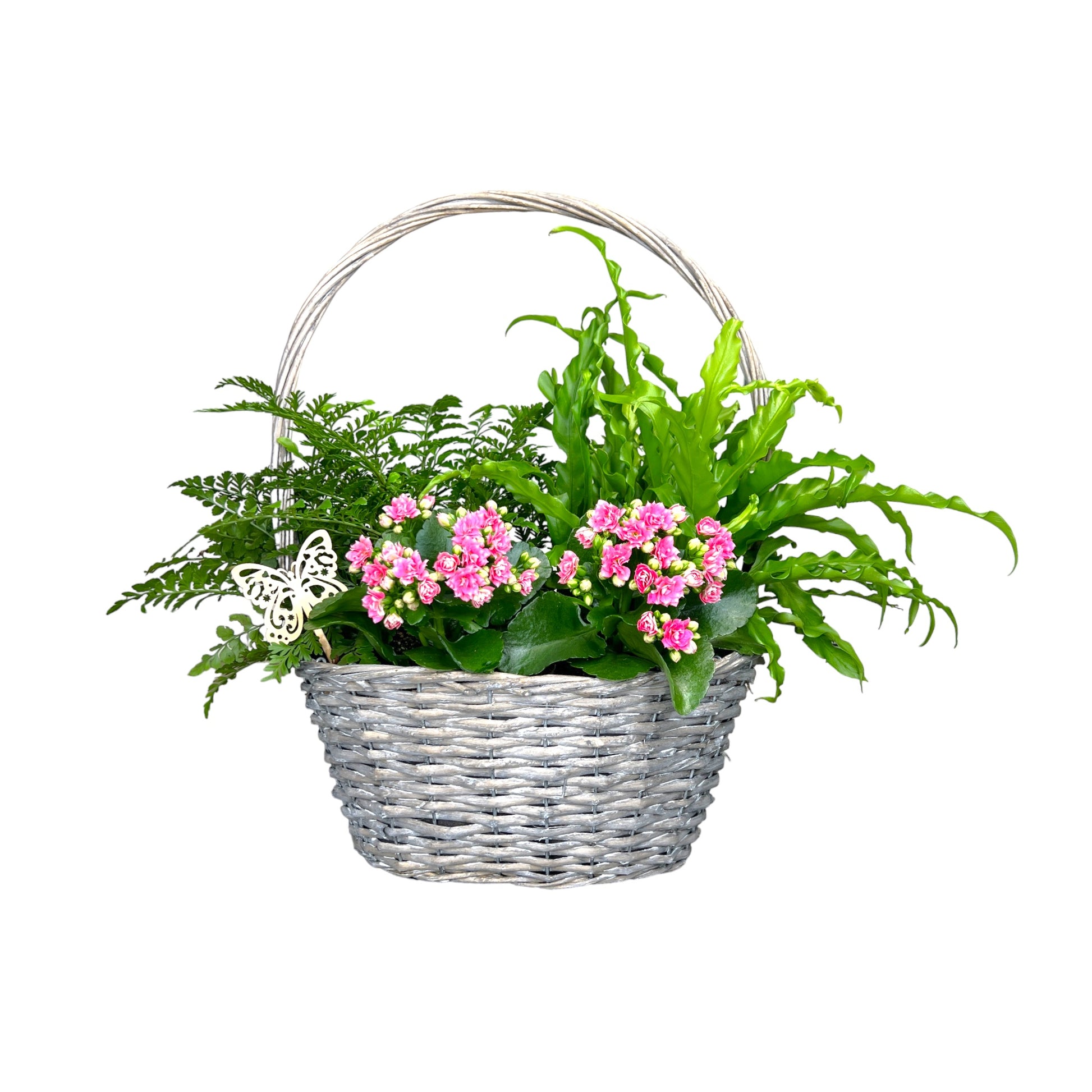 Mother's Day Luxury Basket Planter - Trolley Deal The Horti House