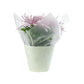 Chrysanthemum 14cm Disbud In Gift Cone