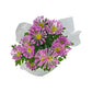 Chrysanthemum 14cm Pinched In Gift Cone