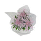 Chrysanthemum 14cm Disbud In Gift Cone