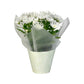 Chrysanthemum 14cm Pinched In Gift Cone
