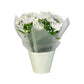 Chrysanthemum 14cm Pinched In Gift Cone