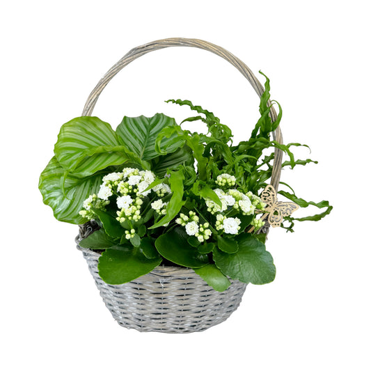 Mother's Day Luxury Basket Planter