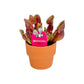 Carnivorous 8.5cm Sarracenia Mix in Terracotta - Carnivorous The Horti House