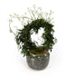 Jasmine 12cm Hoop in Artisan No.3 Ceramic - Flowering The Horti House