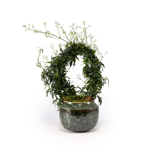 Jasmine 12cm Hoop in Artisan No.3 Ceramic - Flowering The Horti House