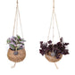 Kokodama 12cm Tradescantia mix