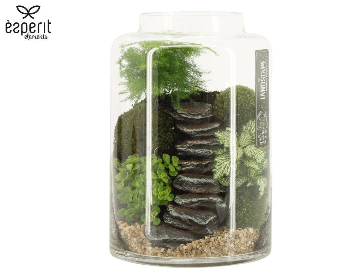Landscape Arrangement 90632 - Mix The Horti House
