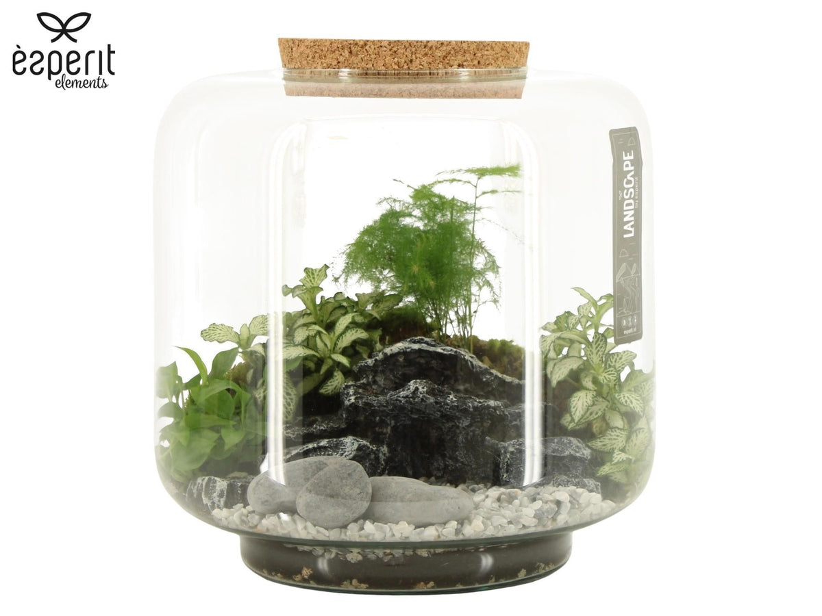 Landscape Terrarium Arrangement 91151 - Mix The Horti House
