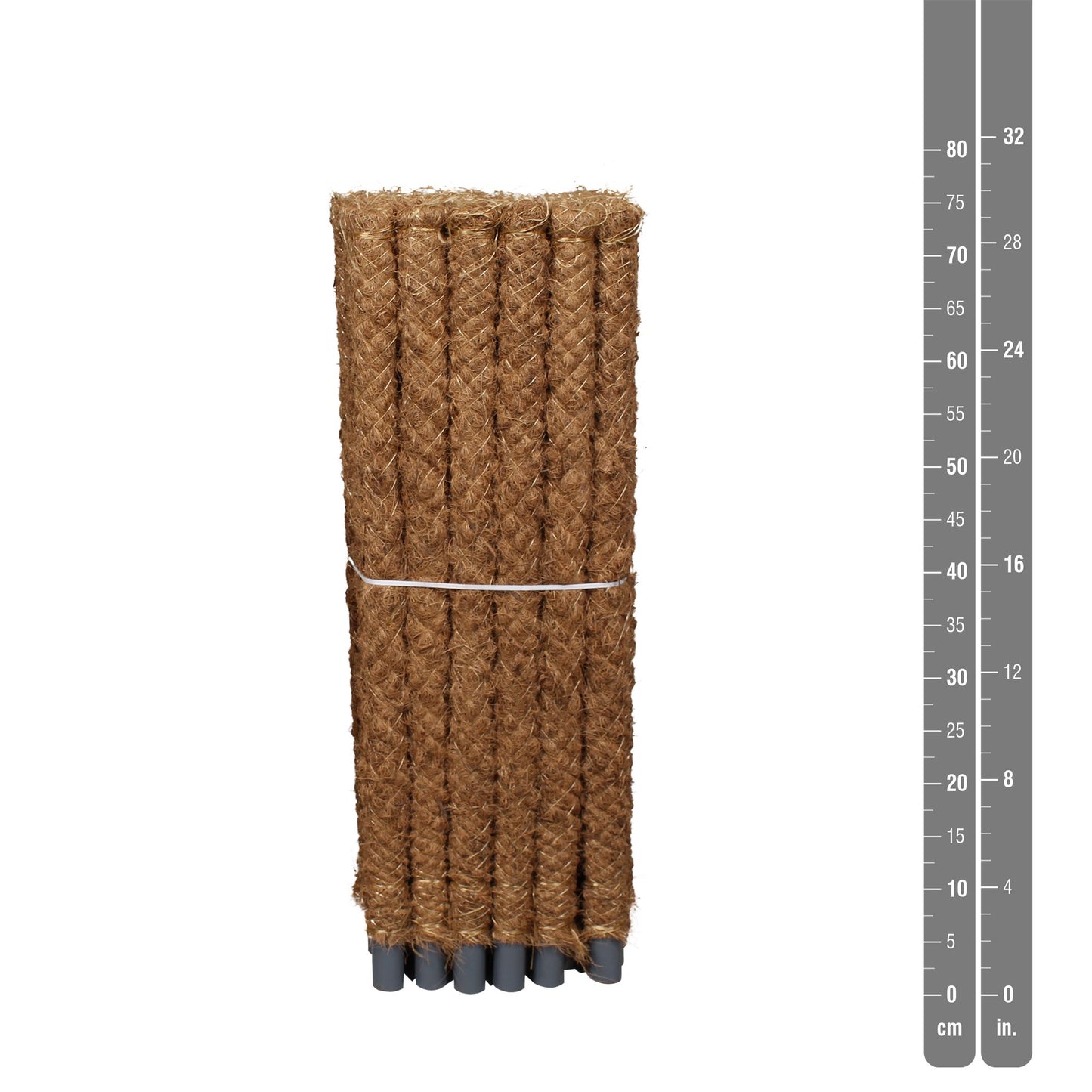 Moss Pole 80cm - Green Plant The Horti House