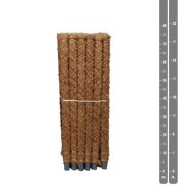 Moss Pole 80cm - Green Plant The Horti House