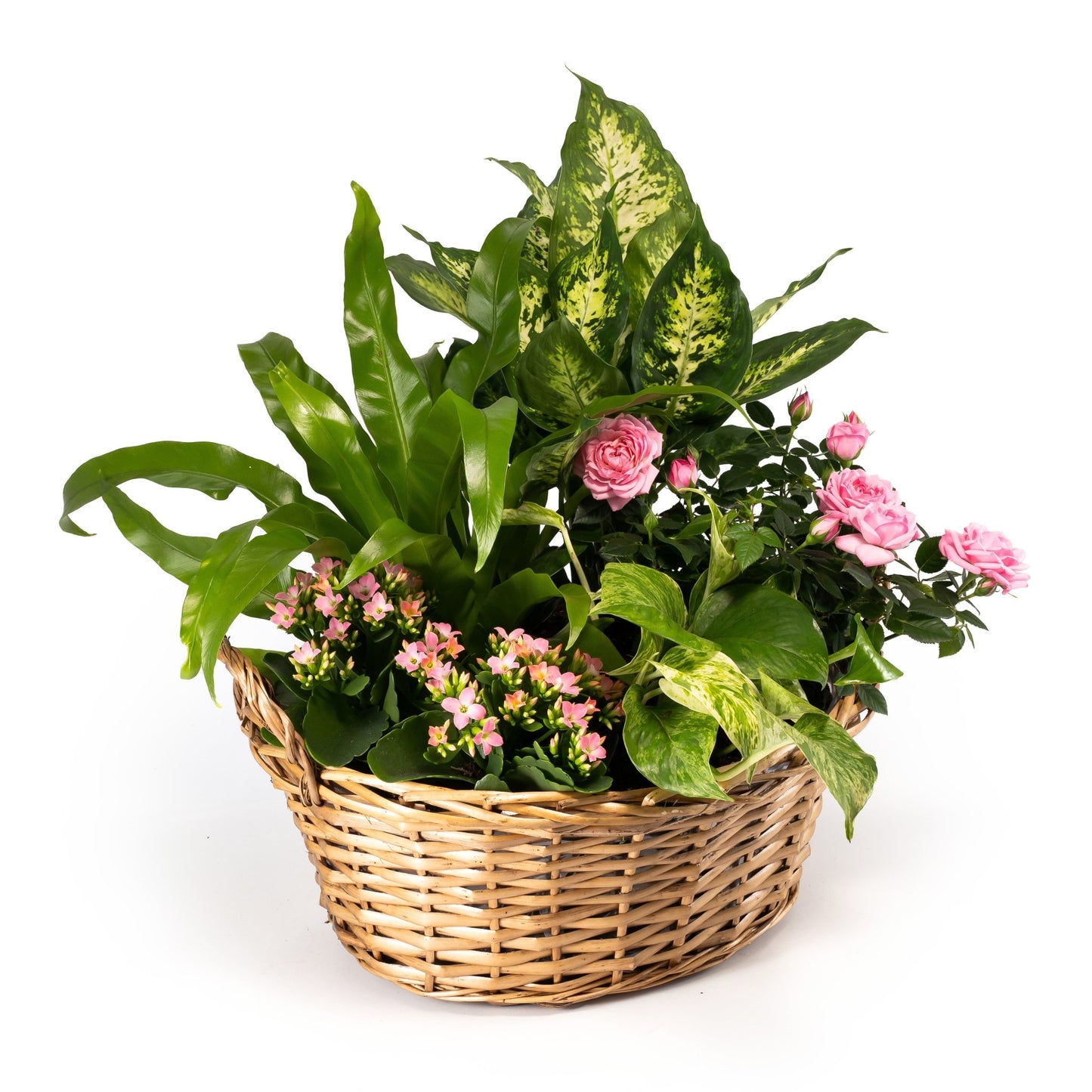 Large Mothers Day Gift Basket - Flowering The Horti House