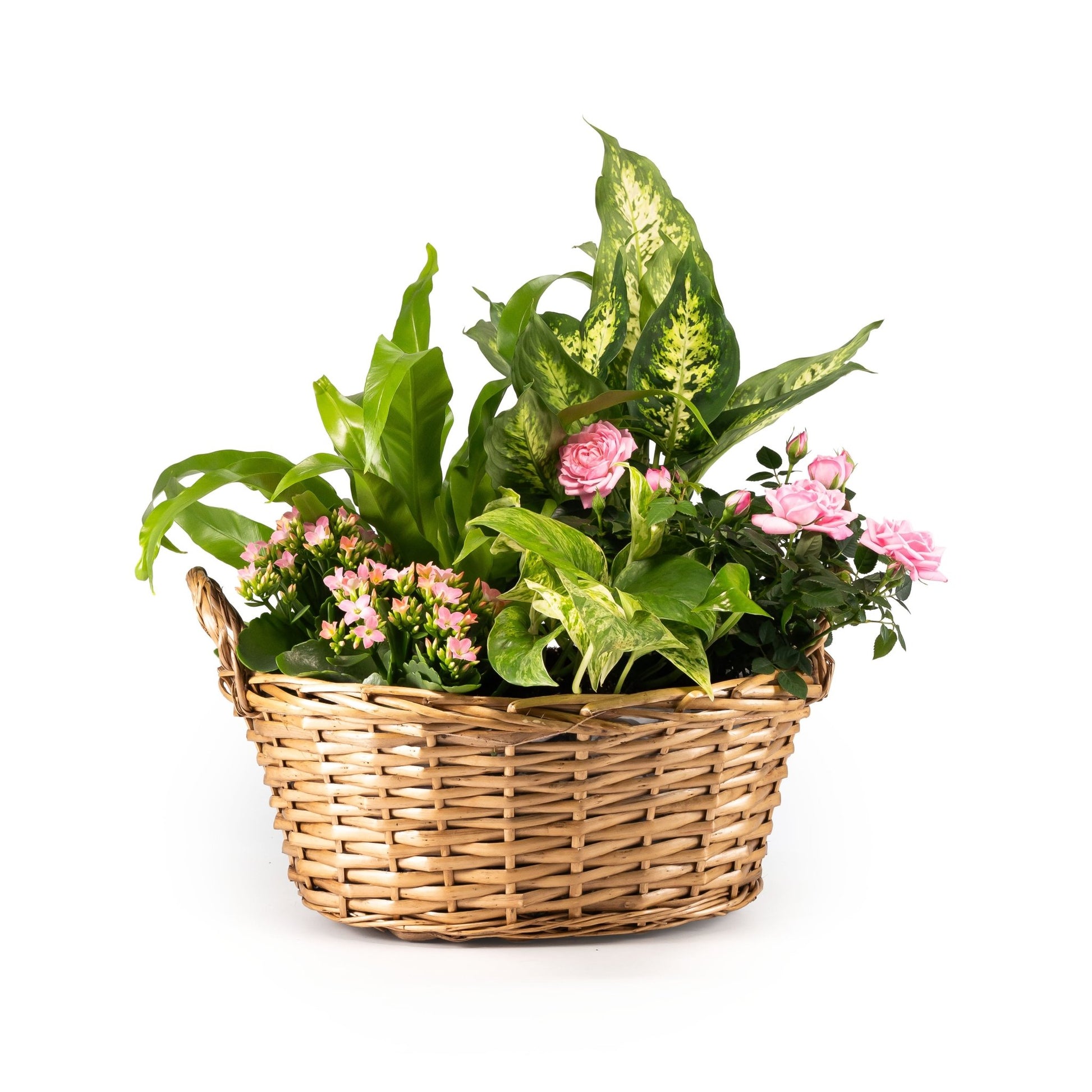 Large Mothers Day Gift Basket - Flowering The Horti House