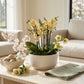 Phalaenopsis Trio in 23cm Planter - Orchid The Horti House