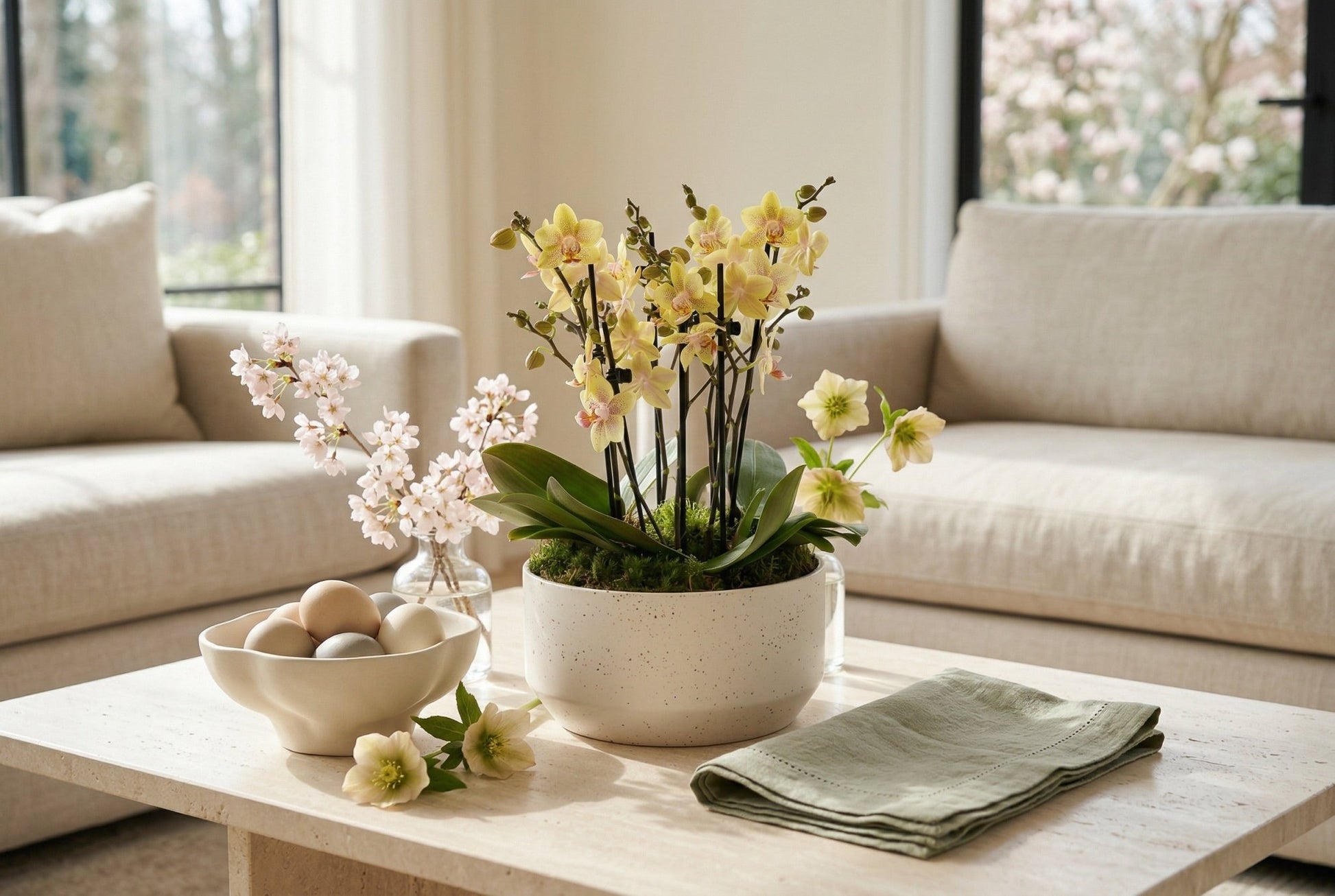 Phalaenopsis Trio in 23cm Planter - Orchid The Horti House