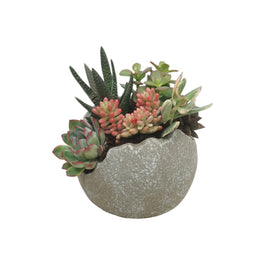 Small Succulent Globe