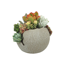 Large Succulent Globe